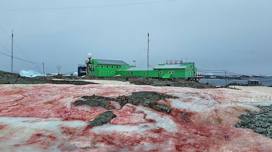 南極出現西瓜雪