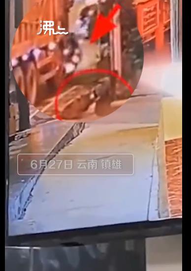 在轉(zhuǎn)彎處電動車被卷入車輪下