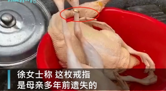 過年殺雞竟找到丟失多年的金戒指 戴在“雞腳”上還挺合適！