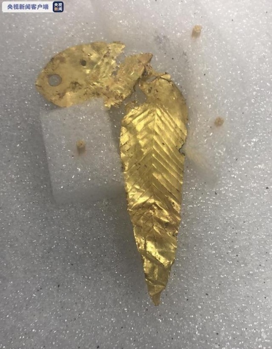 三星堆8號坑陸續發現近60件金葉