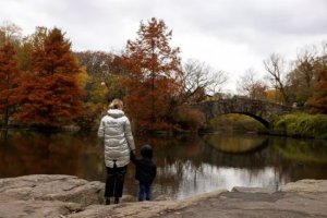 紐約市中央公園是研究氣